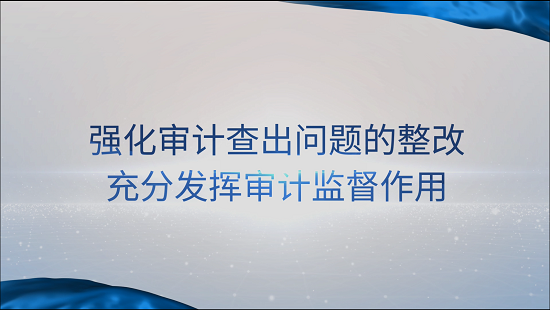 [專家談審計法]賈煥銀：強化審計查出問題的整改 充分發揮審計監督作用